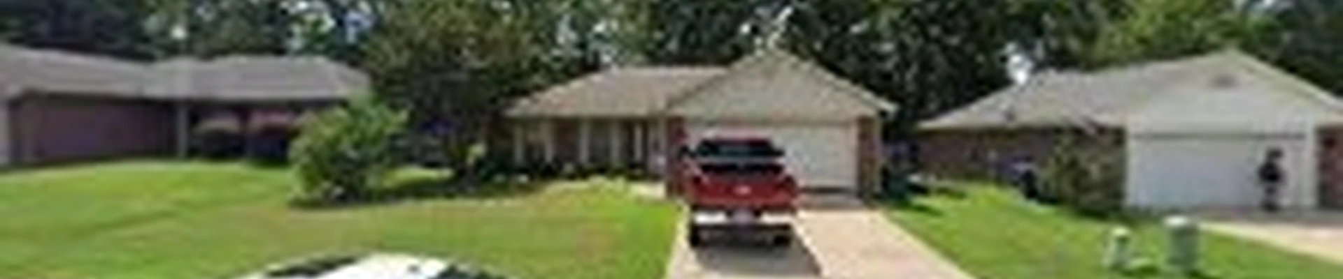 Rose Tree & Logging Services & Stump Removal