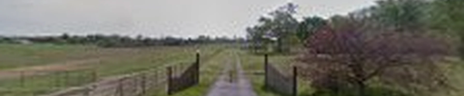 Arbor Management Inc.