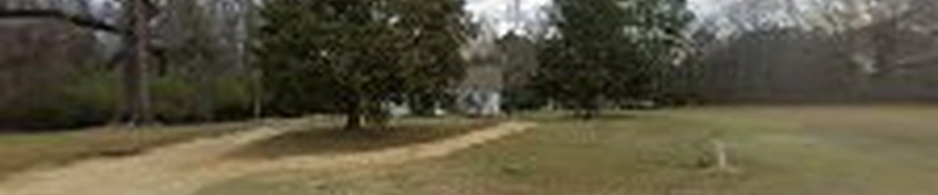 A&A Tree&Lawn Services