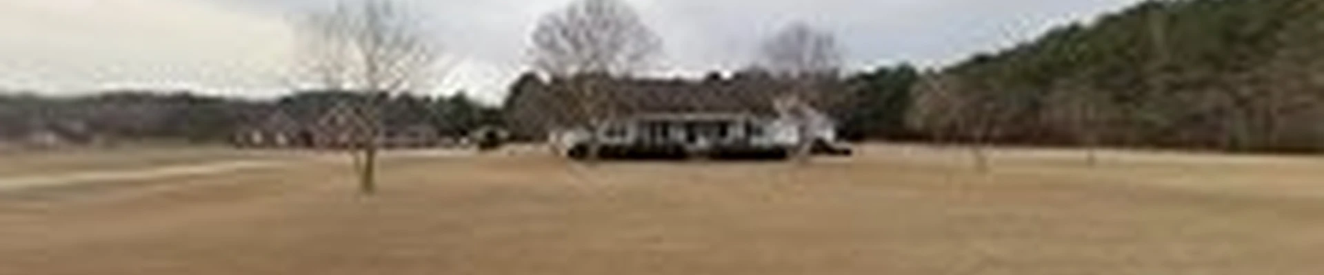 American Allstar Tree Services, LLC