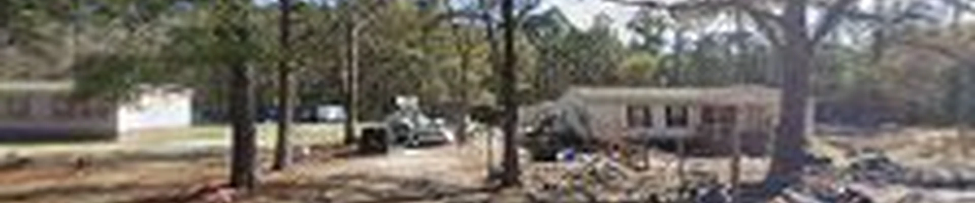Adam and sons tree service and stump grinding