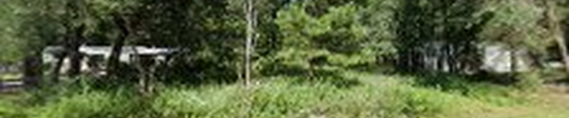 Waters Tree Service, LLC
