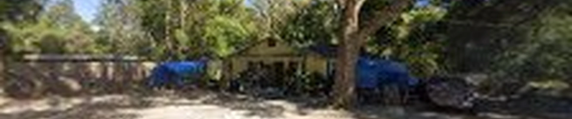 A&K Professional Tree Service LLC
