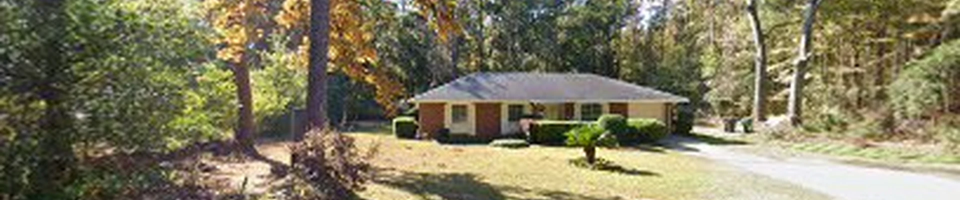 Top Line Tree Services Tallahassee