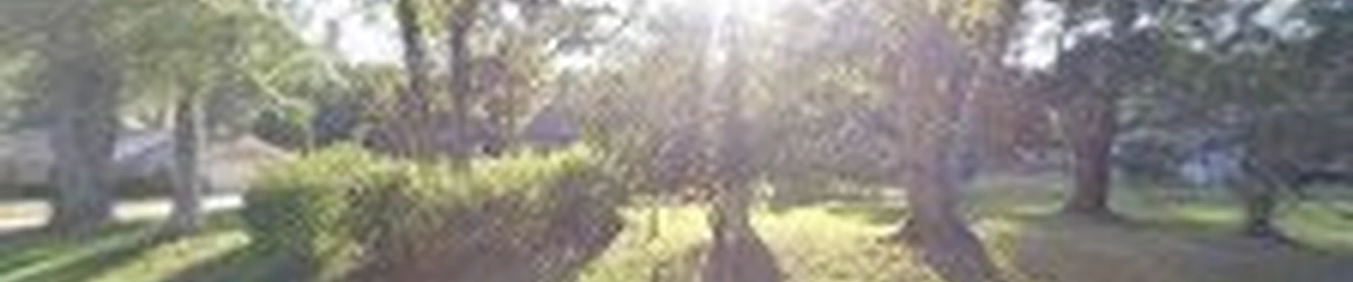 Coste Lawn Care