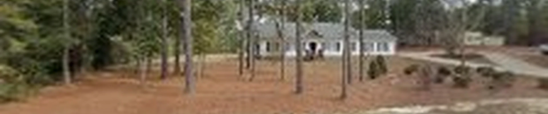 Treesy Cuts Tree Service & Stump Grinding