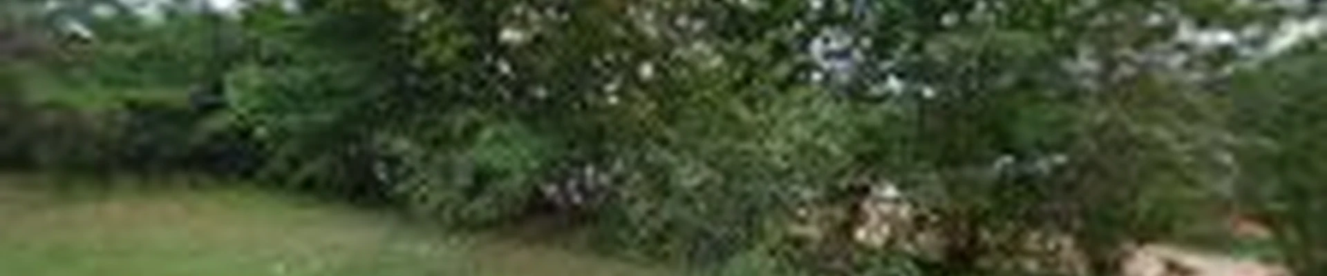 Deep South Tree Service