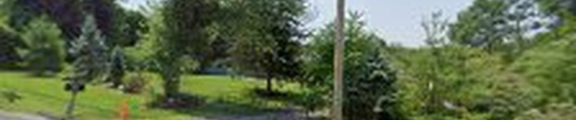 virgilio"s Tree Service