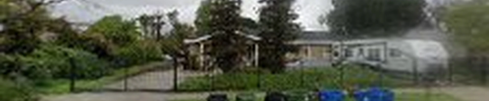 Todd's Tree Experts Inc. Services in Los Angeles