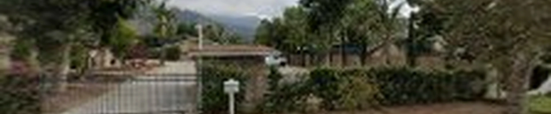Vtc Tree Services
