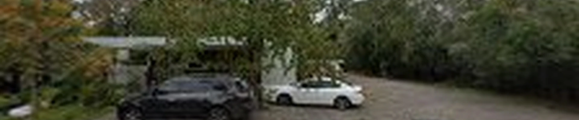 Leon Tree Service
