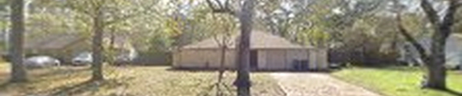 MCS Tree Services