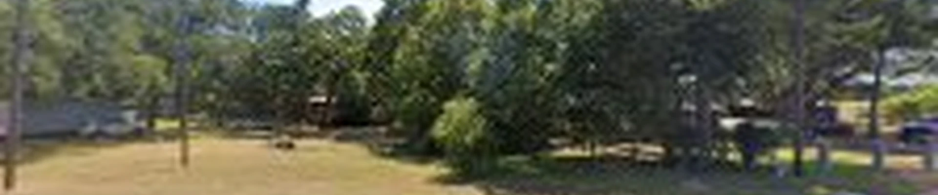 Master Trees Services Brenham, TX