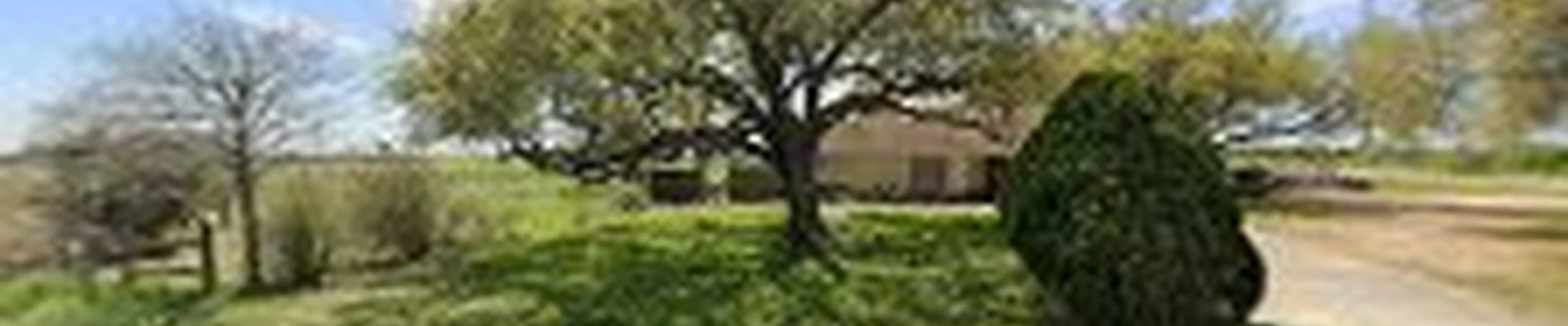 Cardinal Tree Service