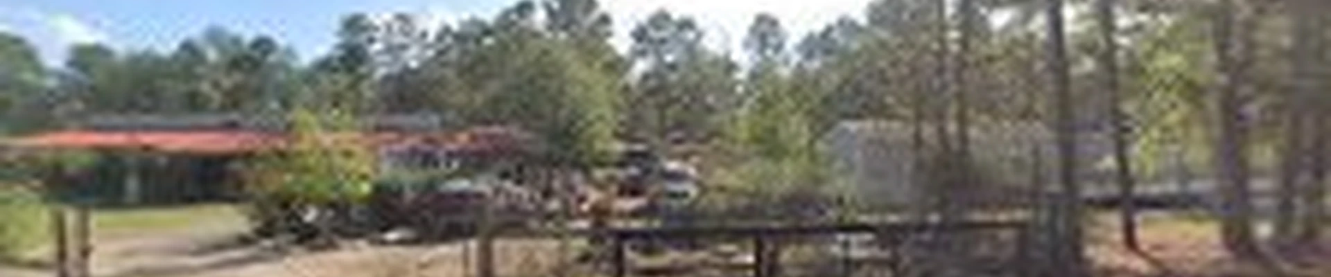 Tejas Tree Team LLC