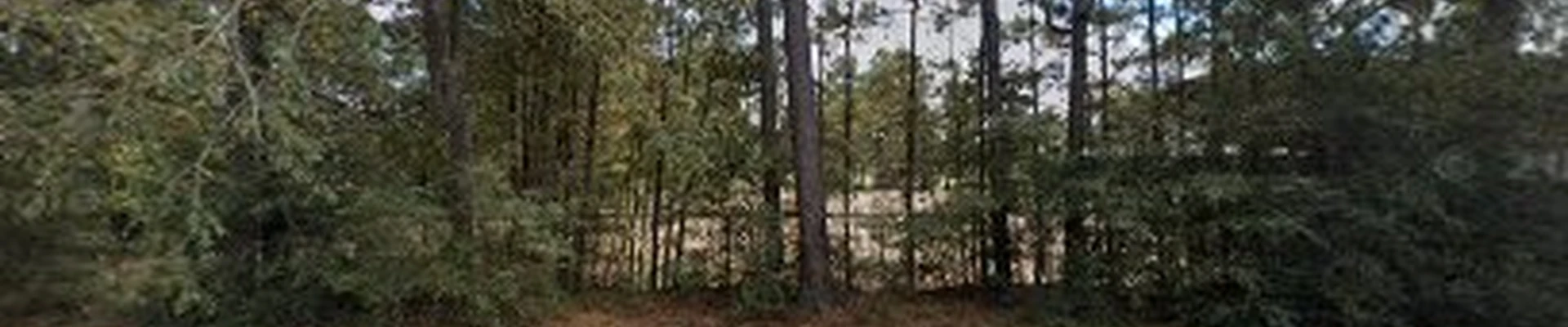 The Tree Expert Company LLC