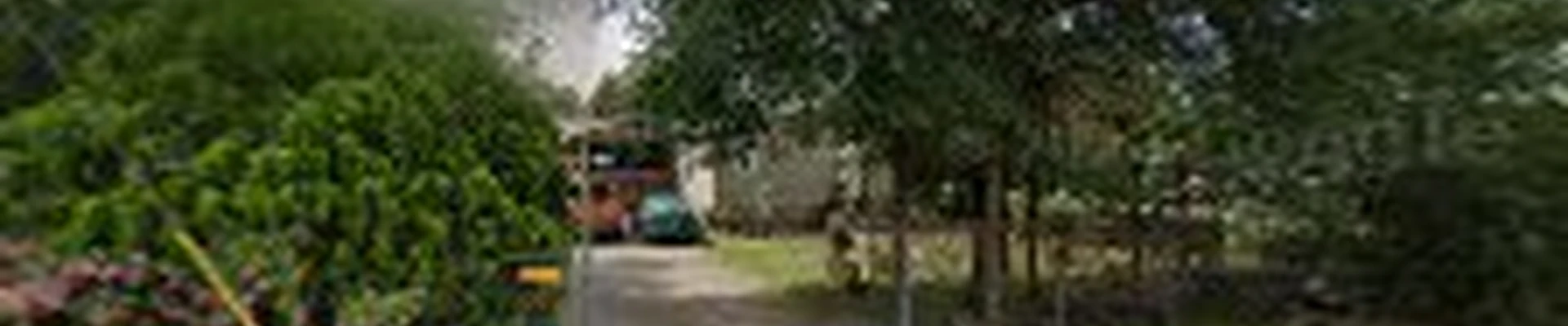 Timberdale Tree Service