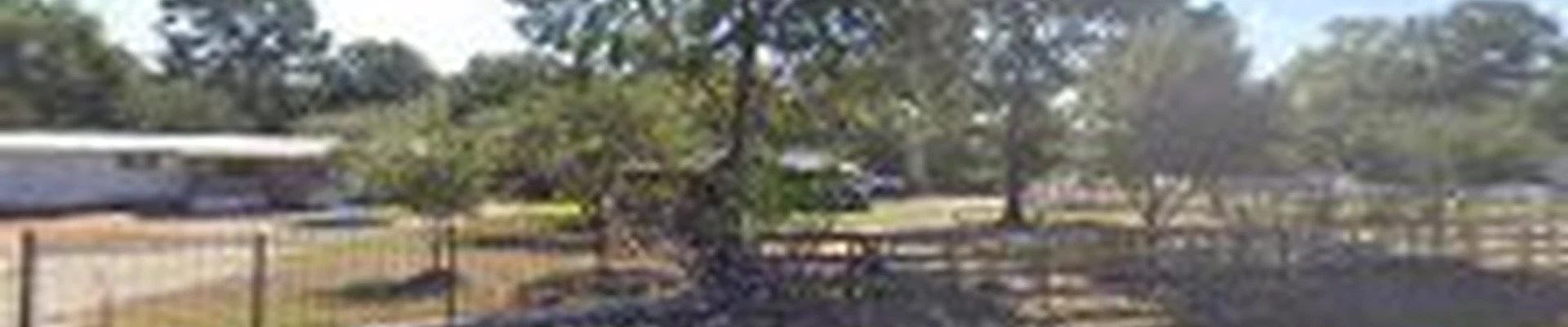 FULL TREE SERVICE