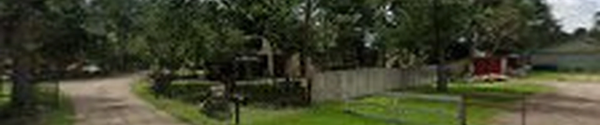 Top Cut Tree Service