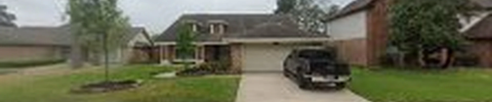 Wilian Tree services