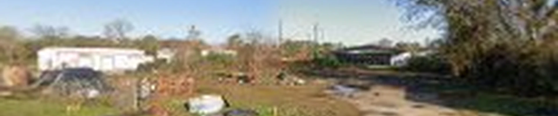 Mount Sion Tree Service