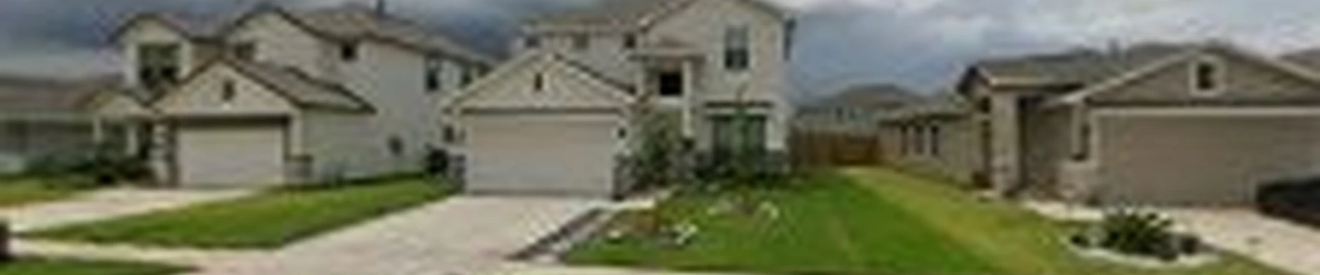 M&J Tree Professionals llc