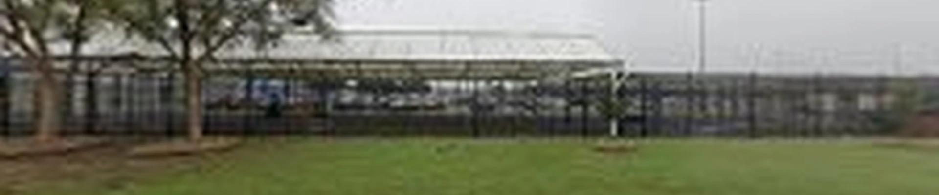 Walmart Garden Center