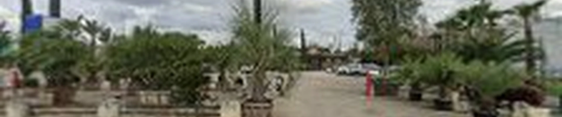 Moon Valley Nurseries