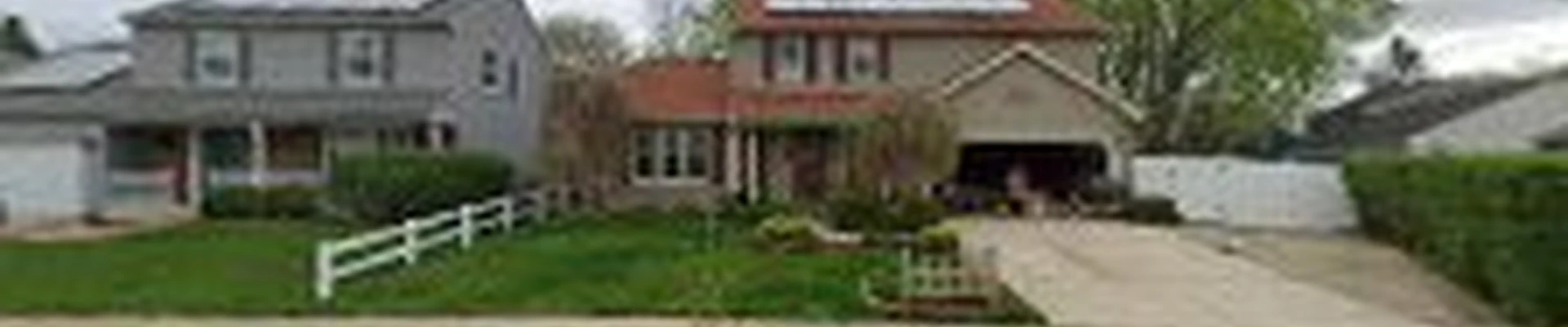 GTO Tree Service - Professional Tree Stump Removal and Trimming Service