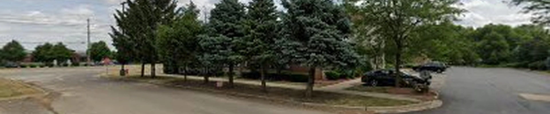 Conway Removal Tree Service Plainfield