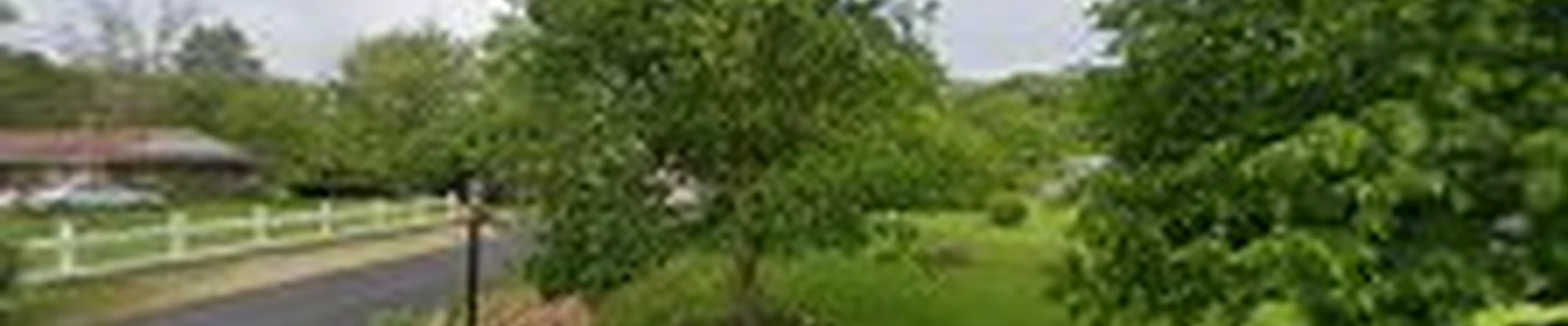 Andreu Tree Services