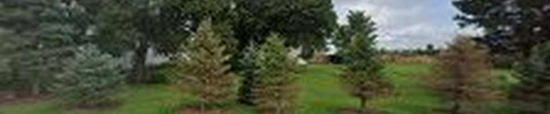 Treescape Solutions Inc