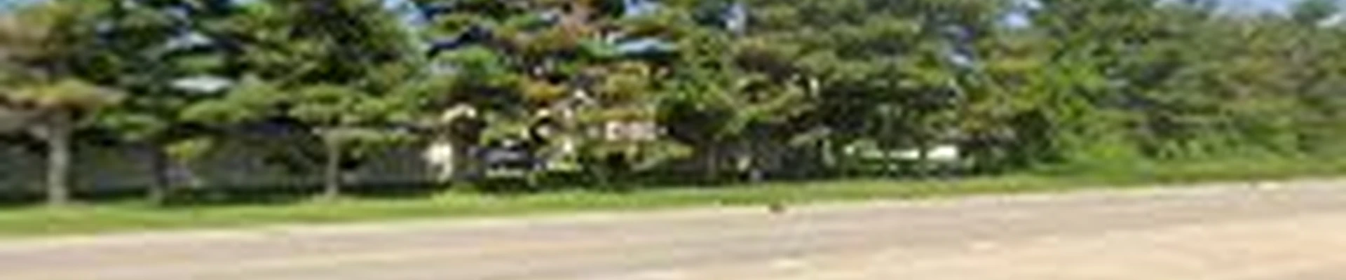 Armadillo Landscape Services, Inc.