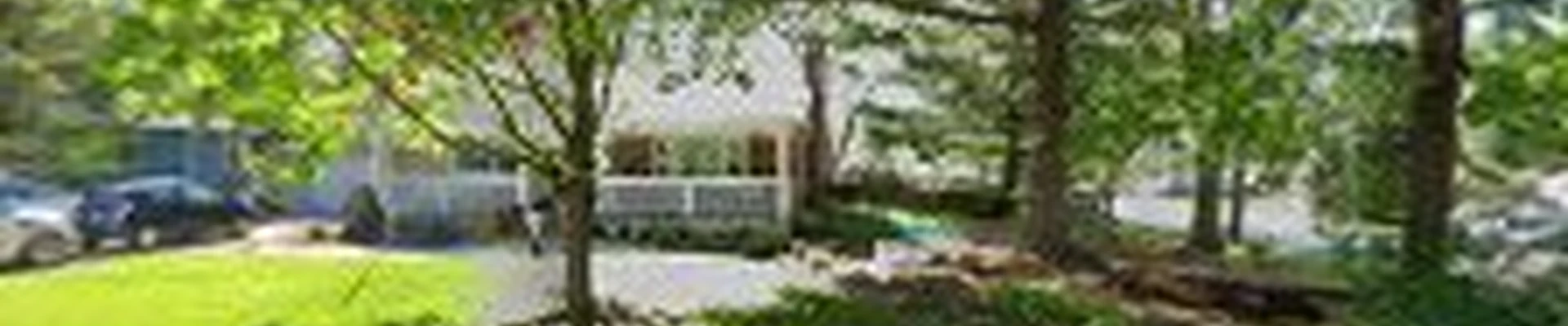 Twin Pines Tree Care Experts
