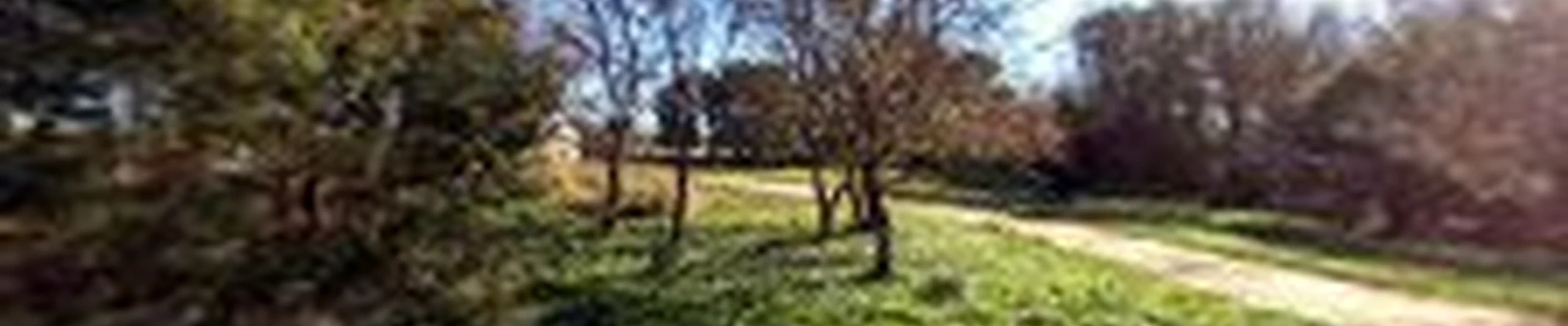 Timbermen Tree Service
