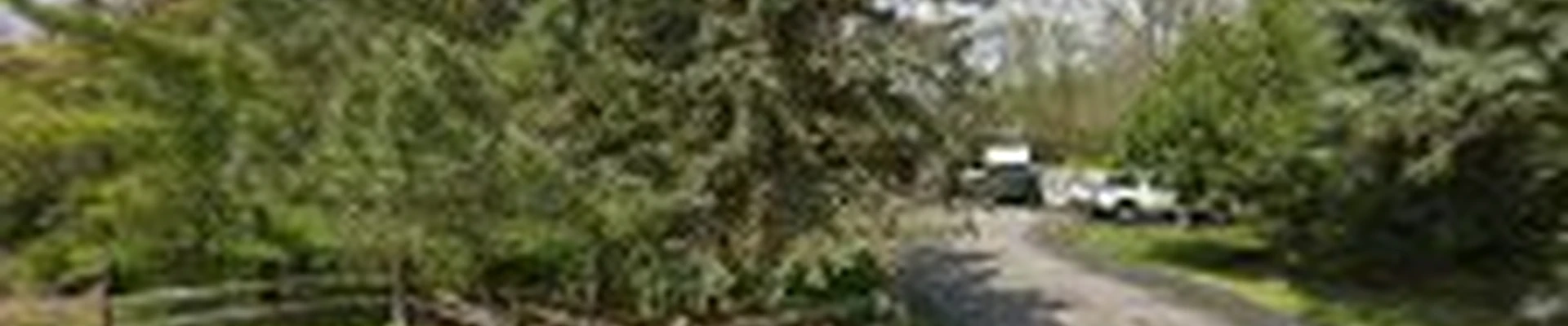 Beaver Tree Specialists, Inc.