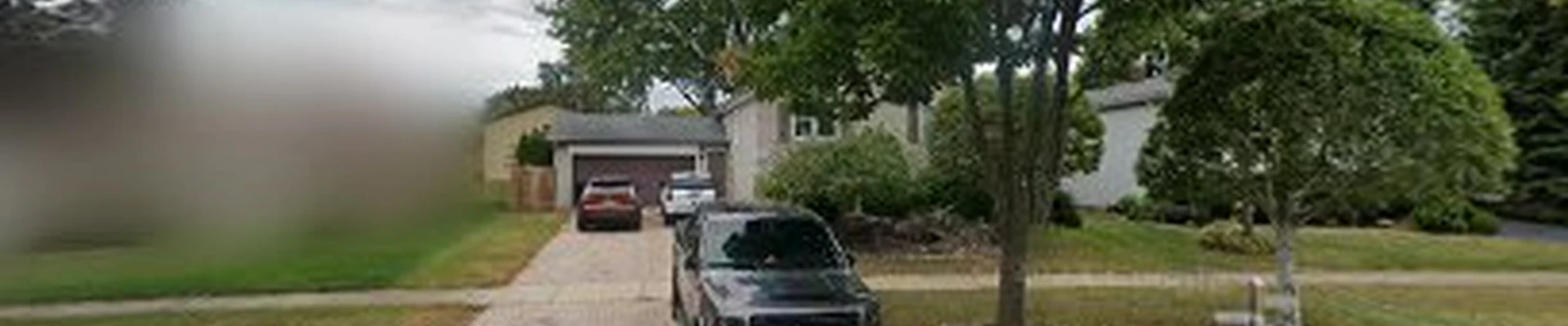 Lucas Tree Care Experts