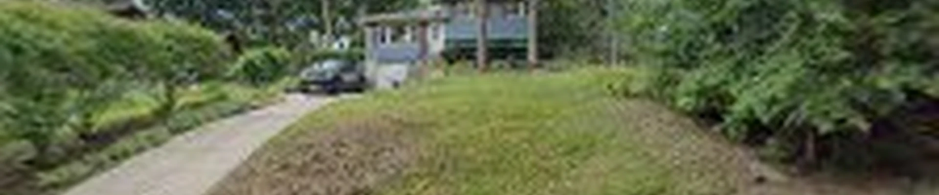 White Maple Tree Service Inc
