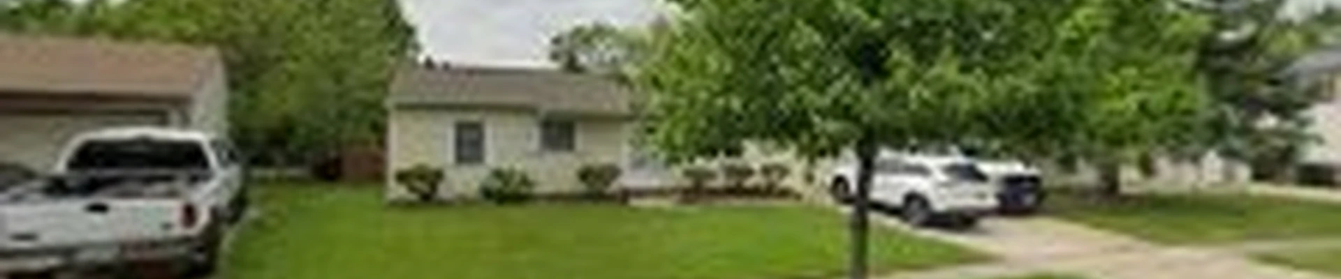 Lions tree service