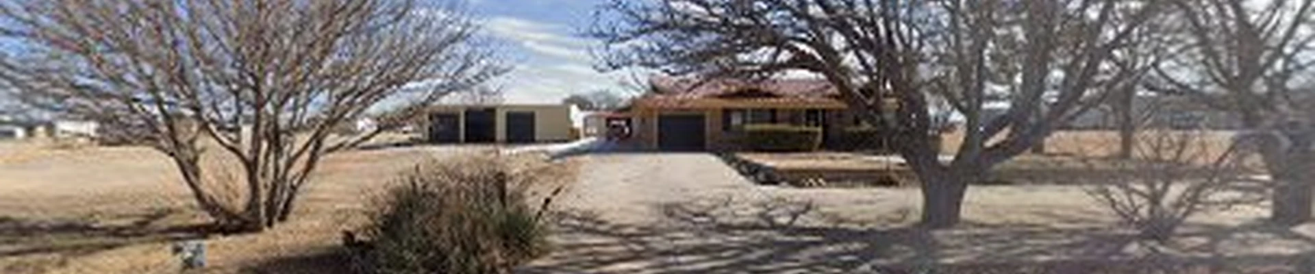Tree Huggers Tree Services