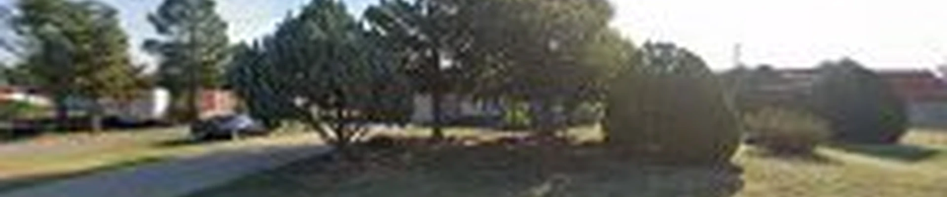 Panhandle Fence Staining