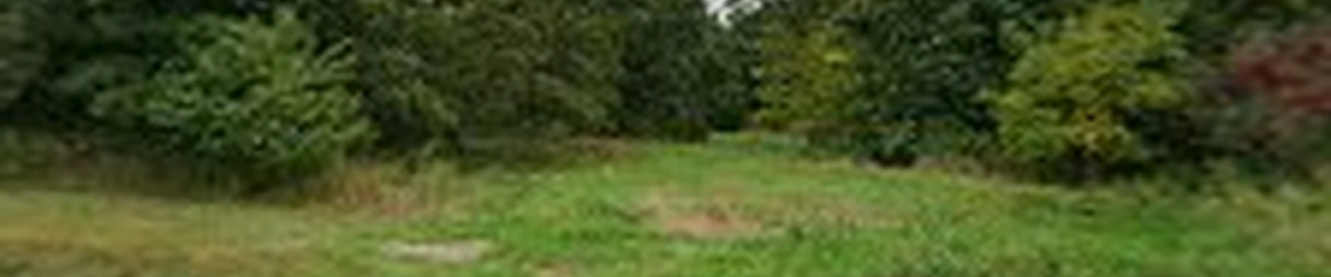 Hickory Creek Stump Grinding