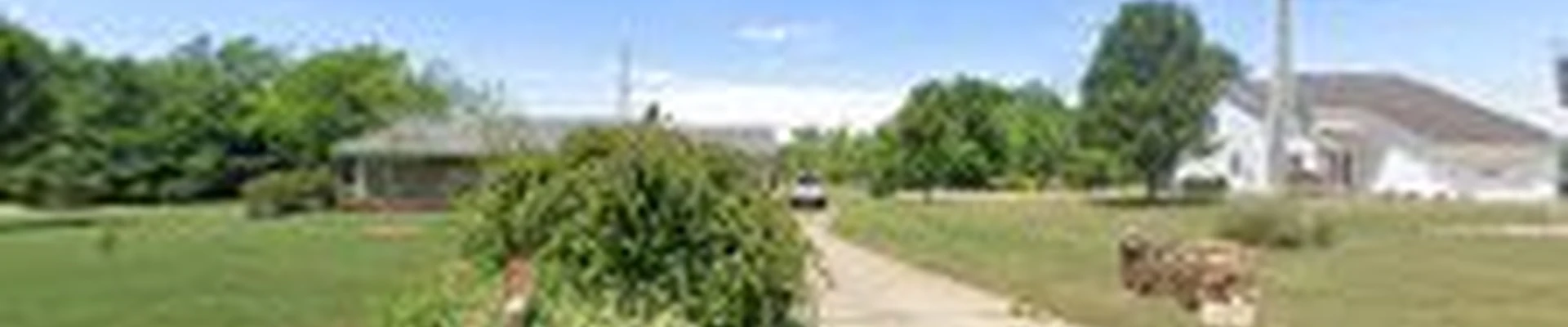 K&M Tree Services LLC