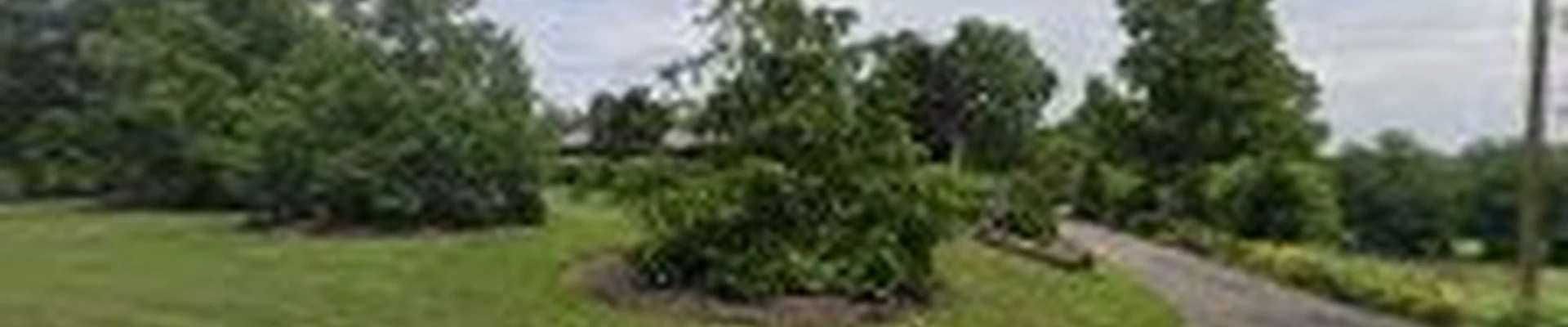 Bowman's Tree Service LLC