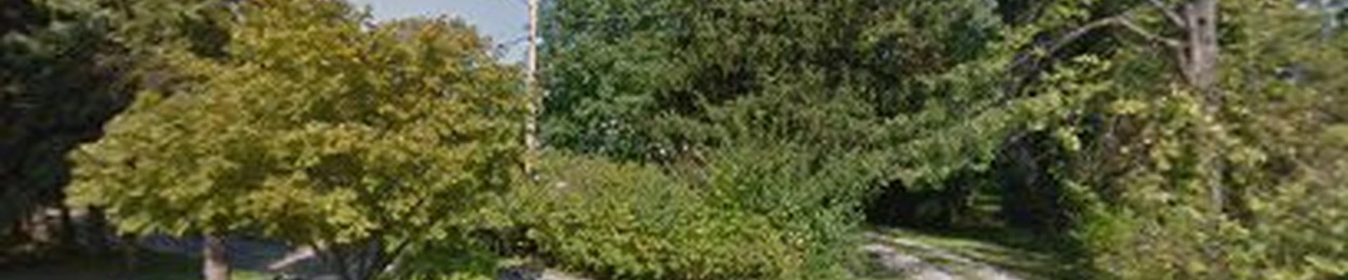 Bluebird Property Maintenance, LLC