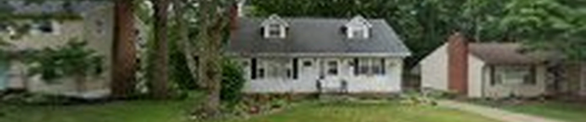 APEX SOLUTIONZ TREE SERVICE