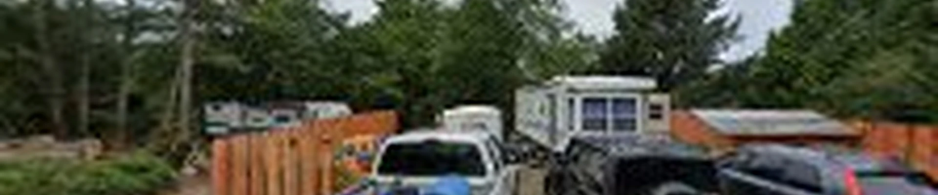 Triotreeservices