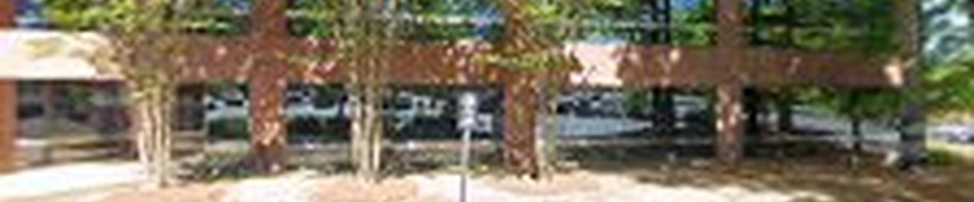 Log and Leaf Tree Service