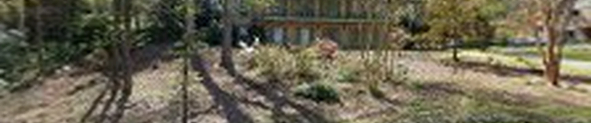 Snider Tree Service