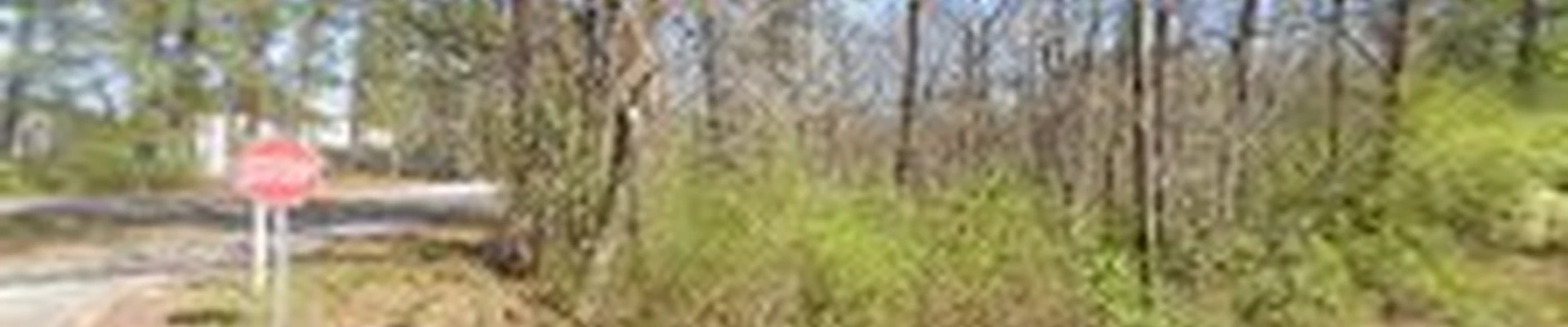 Reno Tree Services